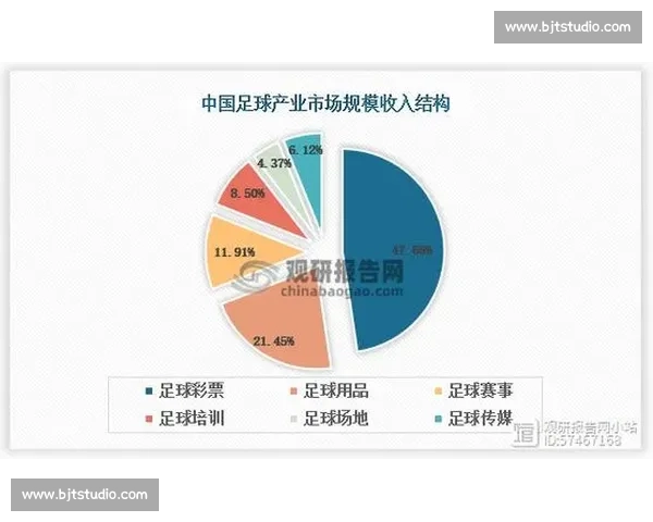 足球行业市场定位分析与未来发展趋势研究